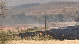 केसली में 'अग्निपरीक्षा' दे रहे किसान: फायर ब्रिगेड का अभाव क्षेत्र के लिए बना अभिशाप