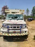 शिवसैनिक तोड़ रहे पशुतस्करों की कमर