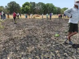 फायर ब्रिगेड की लापरवाही से फसल बर्बाद किसान मुआवजे की मांग