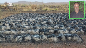 खेत में कटी रखी फसल और मोटरसाइकिल जलकर खाक: केसली के किसान ने सरकार से लगाई मुआवजे की गुहार