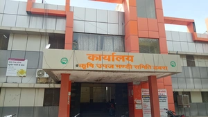 डबरा मण्डी में दोहरी व्यवस्था का खेल: नीलामी के साथ-साथ कच्ची पर्चियों...