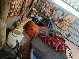 धारदार हथियार से पुजारी की बेरहमी से हत्या