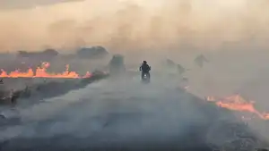 परली में लगी आग ने किया रौद्र रूप धारण