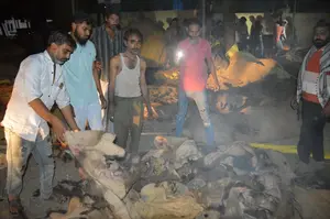 कृषि मंडी की दीवार से सटे खुले शेड में रखी सौंफ स्टॉक में आग, व्यापारी को बड़ी नुकसानी