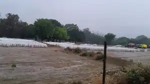 त्यौंथर में अनाज की लाशों पर सिस्टम की दावत, हजारों क्विंटल गेहूं बारिश में हो रहा खराब, जिम्मेदारों के मौन पर खड़ा हो रहा सवाल