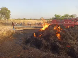 जम्बाड़ी से धारणी तक फैली भीषण आग 6 घंटे में दमकल नें पाया काबू