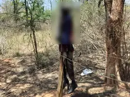 पन्ना टाइगर रिजर्व के अति-सुरक्षित कोर क्षेत्र में फंदे से लटका मिला बुजुर्ग का शव, प्रबंधन की सुरक्षा व्यवस्था और गश्त के दावों की खुली पोल