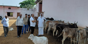 रमपुरवा की गौ शाला बनी मिसाल