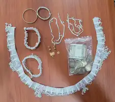 नरसिंहपुर पुलिस ने चोरी गिरोह का भंडाफोड़ किया