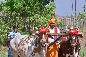 राज्यसभा सांसद डॉ. सुमेर सिंह सोलंकी ने अपने जन्मदिन को समाजसेवा और श्रम के सम्मान को समर्पित करते हुए अनूठे अंदाज में मनाया।