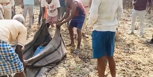 शहडोल  में जंगली हाथी का आतंक अब जानलेवा साबित ह