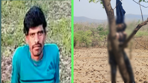 सागर जिले में चिरई के जंगल में पेड़ से लटका मिला युवक का शव, 5 दिन से था लापता; केसली थाने में दर्ज थी गुमशुदगी