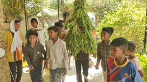 “नेग में कच्चा अनाज, दिलों में अच्छी बारिश की आस… आदिवासियों की अनोखी परंपरा”