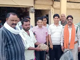 पन्ना: दुर्लभ भारतीय तारा कछुआ मिला, वन विभाग ने लिया संरक्षण में