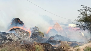 डबरा देहात थाना क्षेत्र के ग्राम बेरखेड़ा में ट्रांसफार्मर के शॉर्ट सर्किट से भीषण आग, भूसे और कंडों के कूप जलकर राख