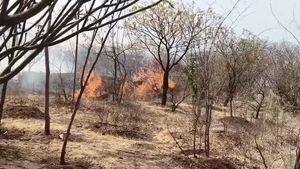  प्रसिद्ध माता टेकरी पर शुक्रवार दोपहर में अचानक लगी भीषण ।