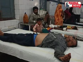 पन्ना: बाइक के सामने अचानक आया बंदर, वाहन पलटने से तीन लोग हुए घायल