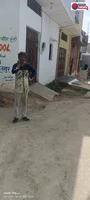 BIG BREAKING NEWS | छतरपुर गौमाता के सम्मान को ठेस? चौबे कॉलोनी से सामनें आया शर्मनाक वीडियो, मृत गाय को घसीटकर ले जानें का आरोप