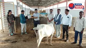 बालाघाट जिले की नवांकुर संस्था द्वारा गौशाला में तीन सीलिंग फैन भेंट
