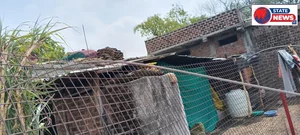  50 साल पुराने जर्जर तारों के साये में जीने को मजबूर सल्लमगढ़ के ग्रामीण,  