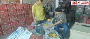 Jabalpur News: मंडी में आम की बंपर आवक,एक्सपोर्ट ना होने की वजह से