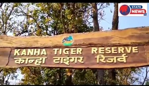 बाघ के हमले से फायर वाचर की मौत 