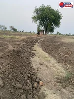 तिलहेरा के किसानों का आरोप - खेत का रास्ता बंद, तहसीलदार को दिया आवेदन  