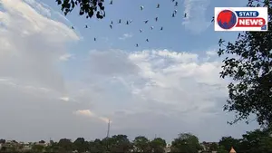 पन्ना: जनसहयोग से महाराज सागर तालाब का हो रहा कायाकल्प