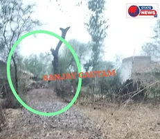 सरपंच के द्वारा निजी भूमि पर सड़क बनाने का गंभीर आरोप