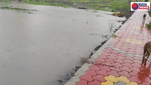 नेपानगर के वार्ड क्रमांक 11 का गार्डन बारिश से बना तालाब