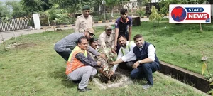 सांसद बंटी साहू ने किया बहोरीपार टोल प्लाजा में वृक्षारोपण