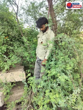 गुना में डोडा चूरा तस्करी का आरोपी फंदे पर मिला