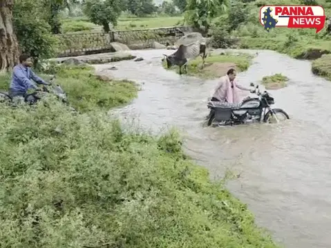 पन्ना: मूसलाधार बारिश के बाद प्रशासन का बड़ा फैसला, स्कूलों में अवकाश घोषित