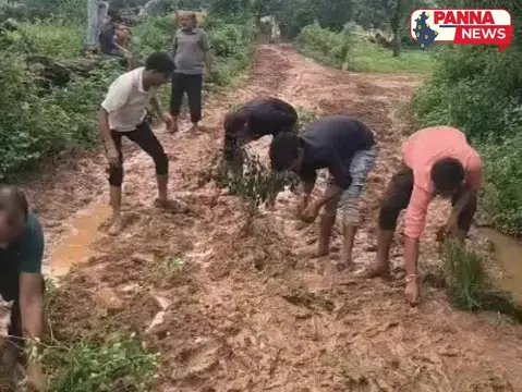 पन्ना: सड़क पर ग्रामीणों ने बोई धान