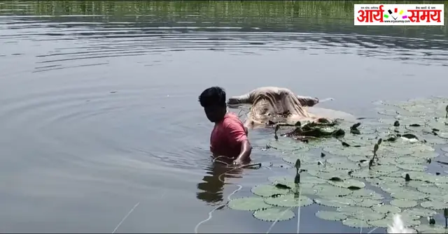 Jabalpur News: पानी में उतराती मिली बुजुर्ग की लाश, क्षेत्र में फैली सनसनी; एएसपी ने दिए जांच के निर्देश