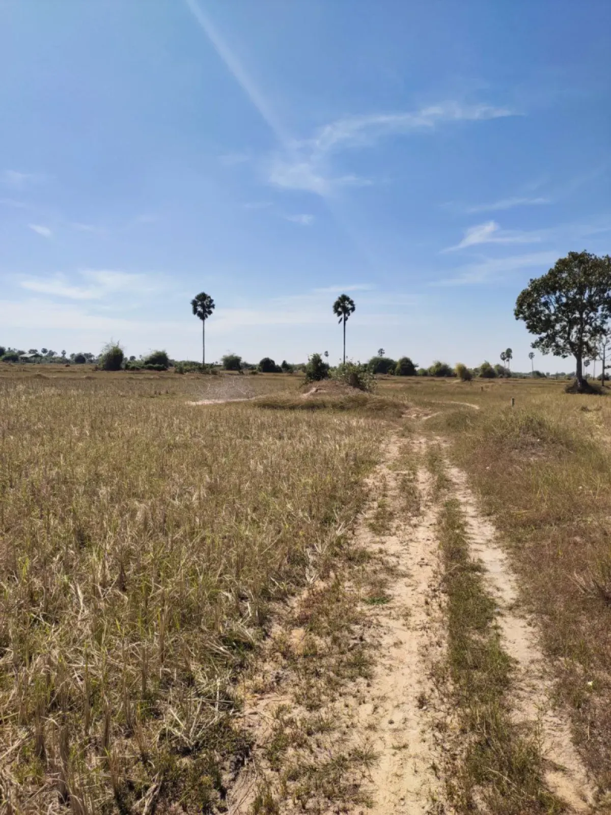 Land - Ang Snol – 1