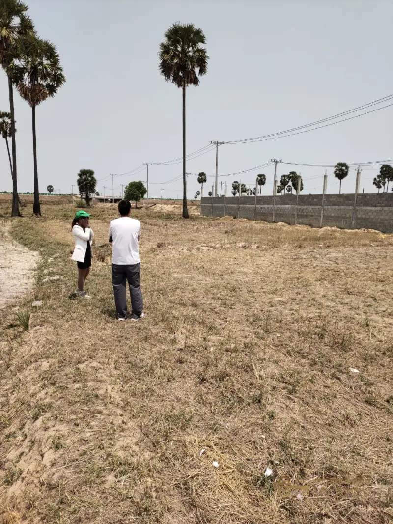 Farm Land - Kandal – 1