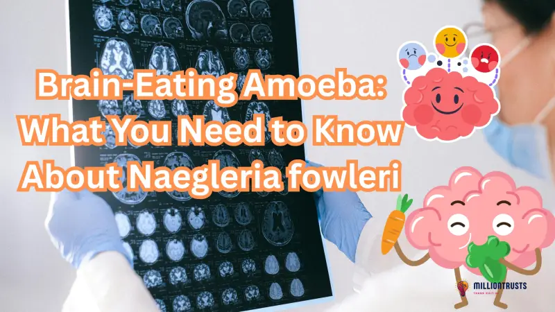 Brain-Eating Amoeba: What You Need to Know About Naegleria fowleri