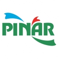 Pinar