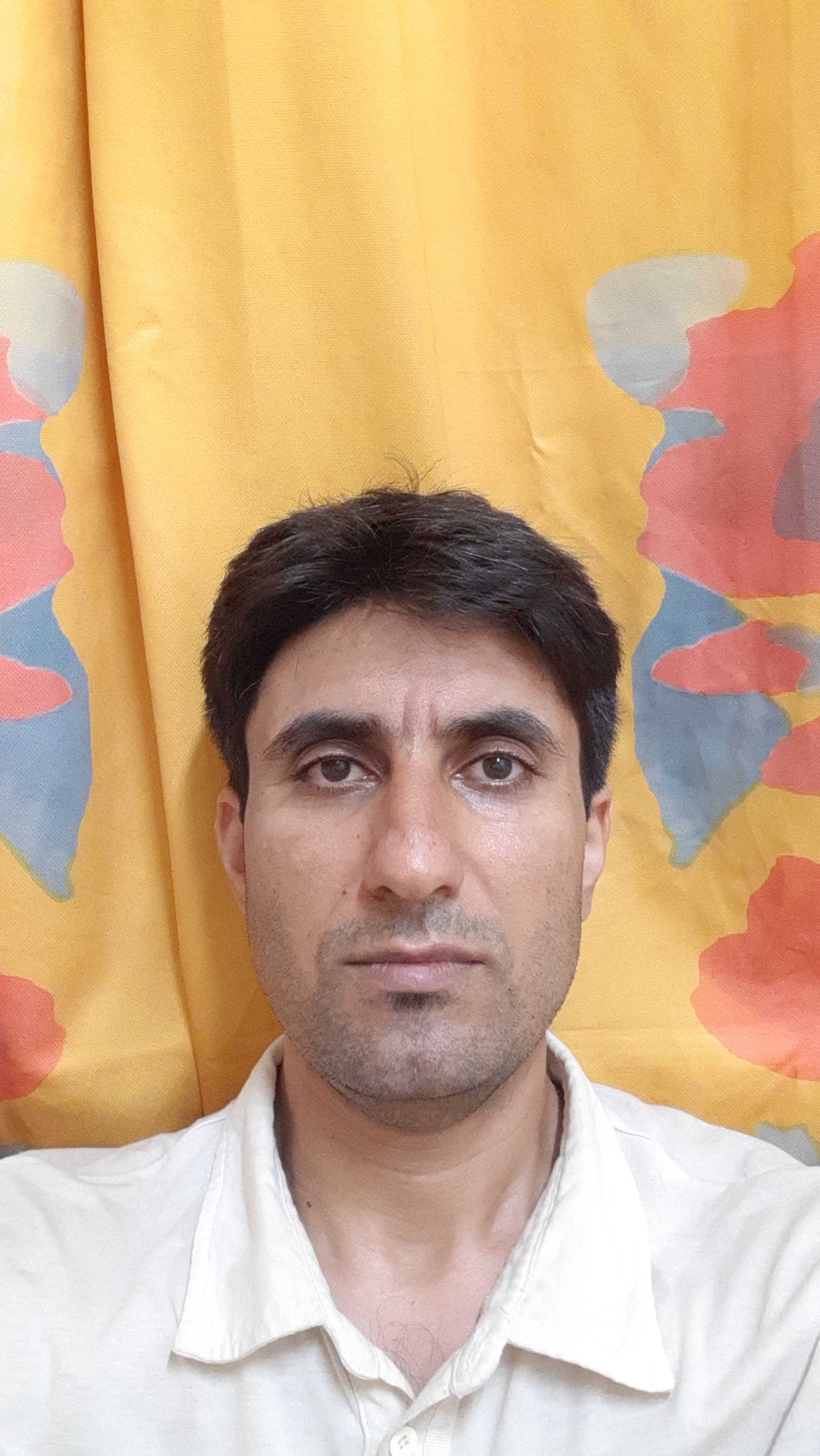 Hosein Mohammadi Profile Picture