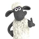 shaun Profile Picture