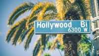 Hollywood Vacation Rentals Profile Picture