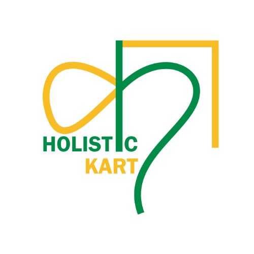 holistic kart Profile Picture