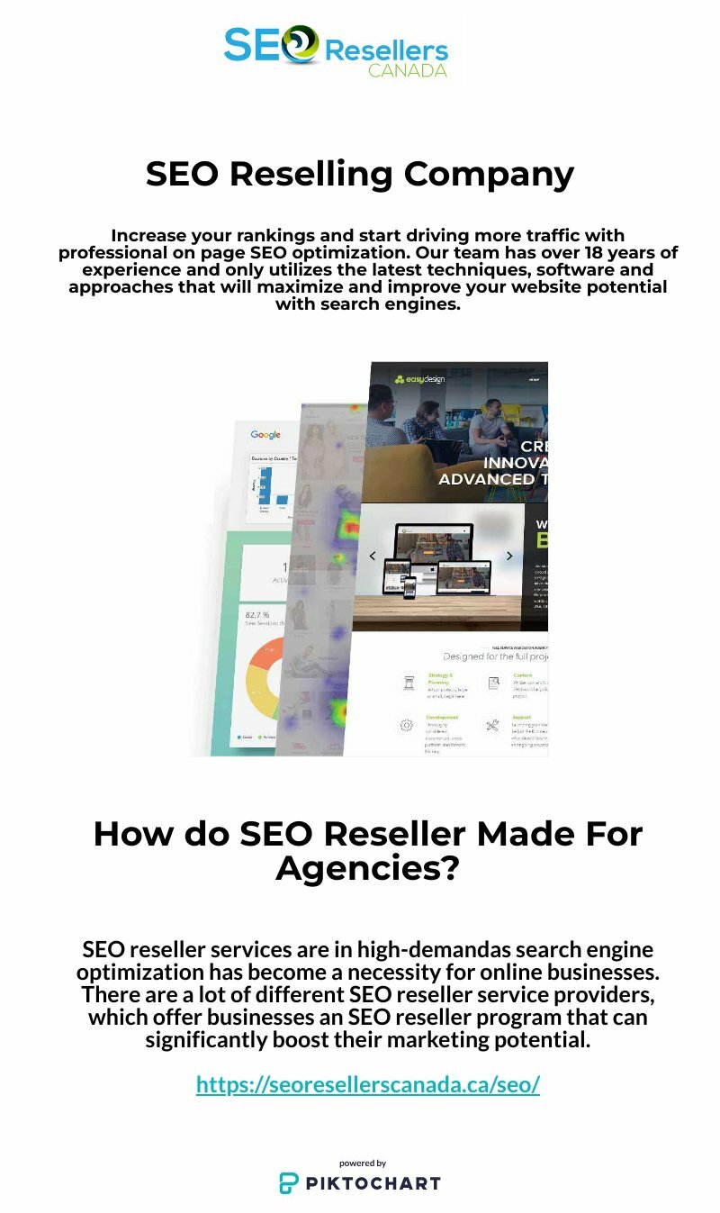 SEO Reselling Company | Piktochart Visual Editor