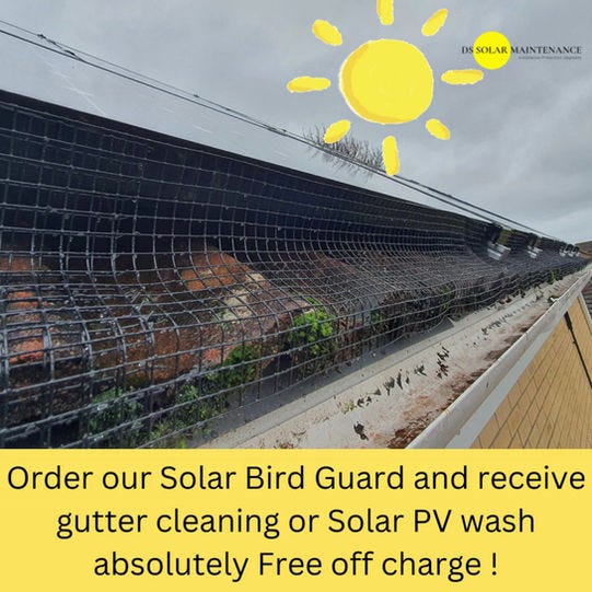 Why Is It Important To Bird-Proof The Solar Panel | by DS Solar Maintenance | Apr, 2023 | Medium