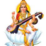 Manoj Shastri Profile Picture