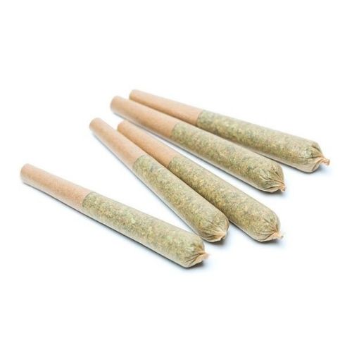 6 Pack Of Pre-Rolls - Purple Penthouse