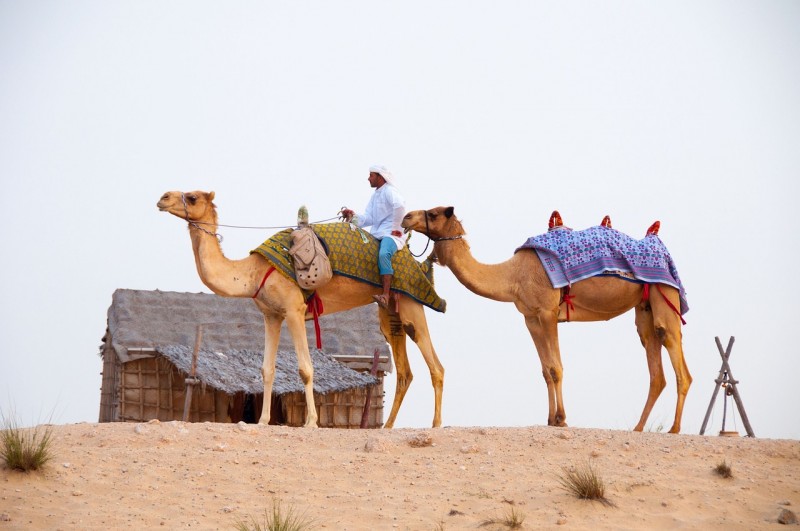 Luxury Desert Safari Dubai: Adventure Experience: allenesen — LiveJournal