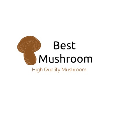 Best Mushroom Shop Profile Picture