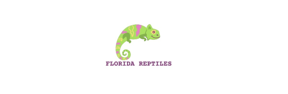 Florida Reptiles Cover Image